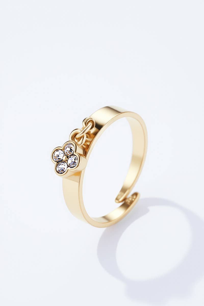 Edelstahlring 424RX181: Gold / Rostfreier Stahl